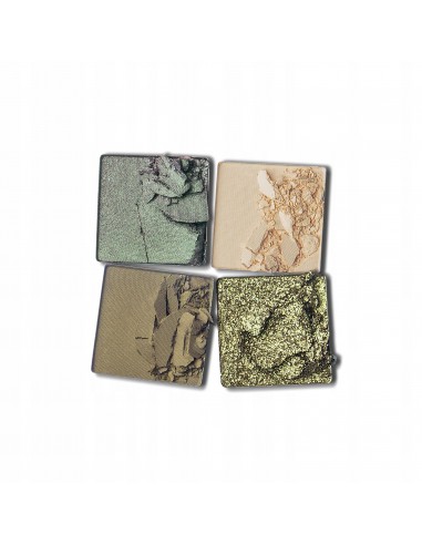 Paese paleta cieni Daily Vibe 02 Military Vibe 5,5 g